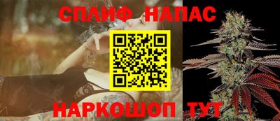 дживик Шелехов