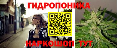 дживик Шелехов